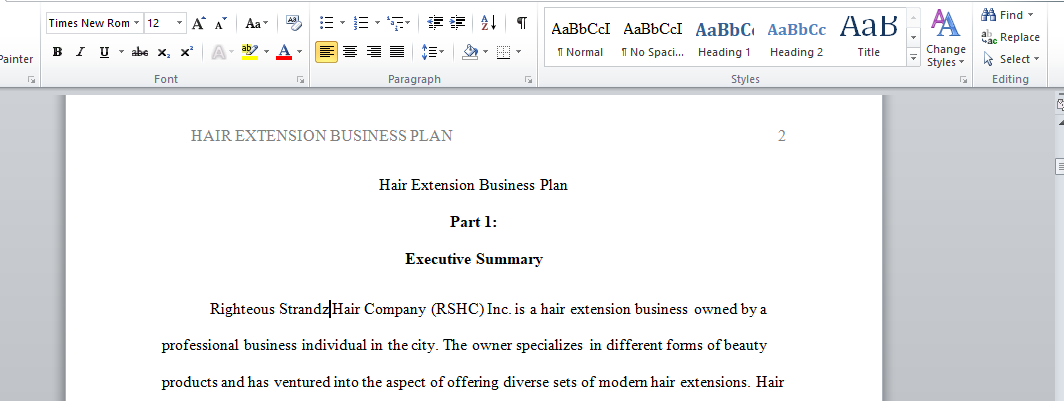 Hair Extension Business Plan