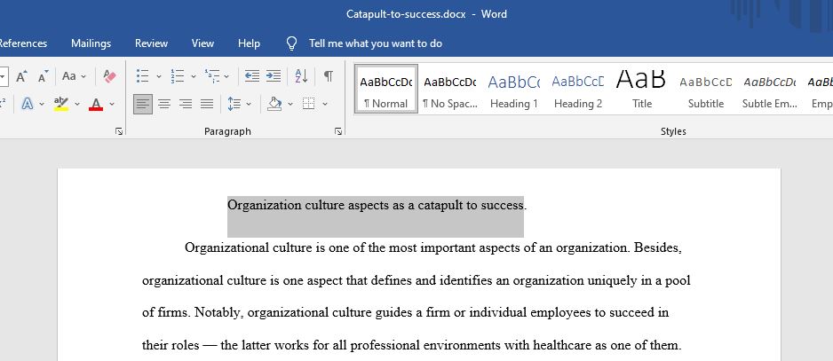 Organization culture aspects as a catapult to success. 